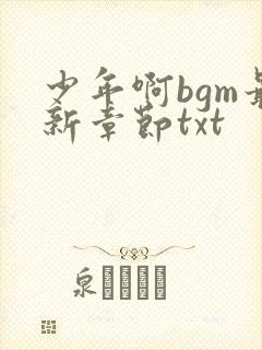 少年啊bgm最新章节txt