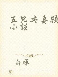五兄共妻顾心儿小说