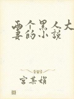 两个黑人大战娇妻的小说封面