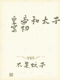 皇帝和太子妃h云初封面