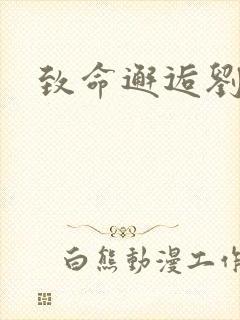 致命邂逅刘小寐