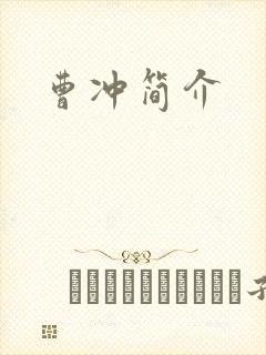 曹冲简介