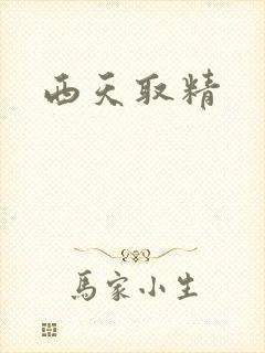 西天取精