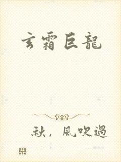 玄霜巨龙封面
