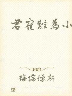 君宠难为小说