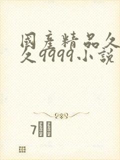 国产精品久久久久9999小说