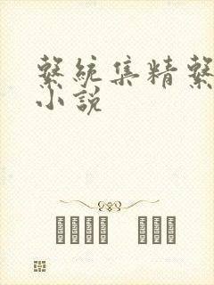 系统集精系统 小说