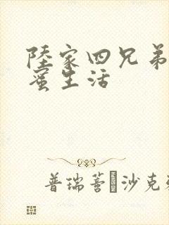 陆家四兄弟的甜蜜生活