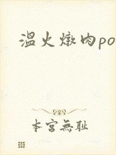 温火炖肉pop