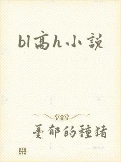 bl高h小说