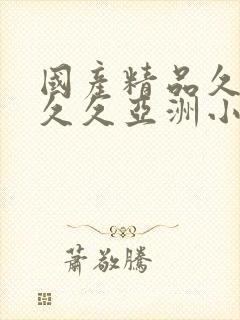 国产精品久久久久久亚洲小说