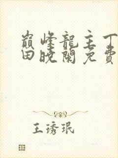 巅峰龙主丁长顺田晓兰免费阅读封面
