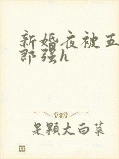 新婚夜被五个伴郎强h