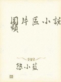 图片区小说区视频