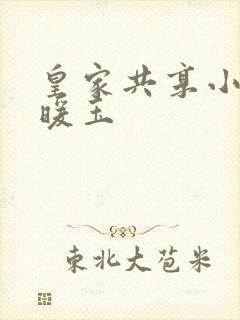 皇家共享小公主暖玉