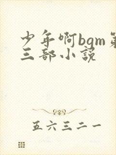 少年啊bgm第三部小说
