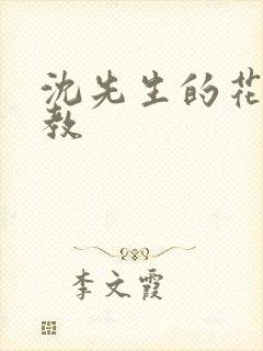 沈先生的花式管教封面