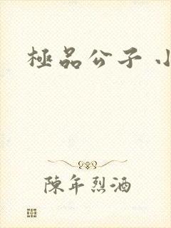 极品公子 小说封面