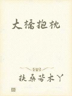 大桥抱枕