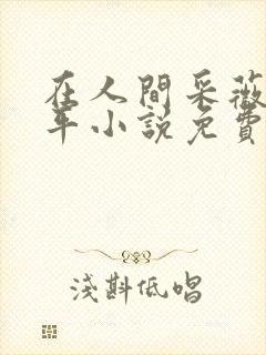 在人间采薇陆三平小说免费阅读封面