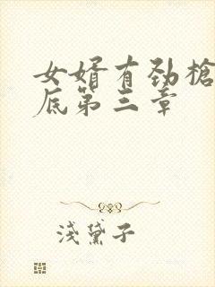 女婿有劲枪枪到底第三章封面