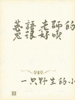 英语老师的大兔兔很好吃