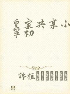 皇家共享小公主宁初封面