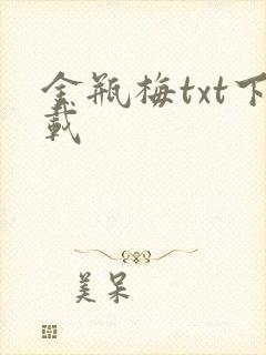 金瓶梅txt下载封面