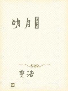 明月珰封面