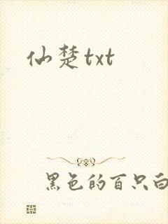 仙楚txt封面