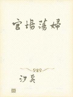官场荡妇封面