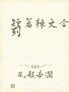 短篇辣文合集系列