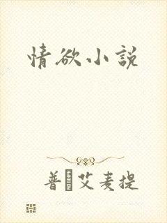 情欲小说封面