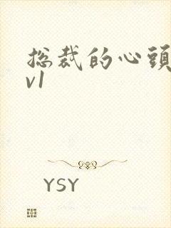 总裁的心头宝1v1封面