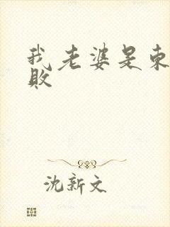 我老婆是东方不败封面