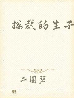 总裁的生子情人
