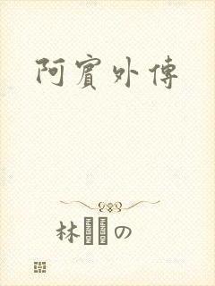 阿宾外传