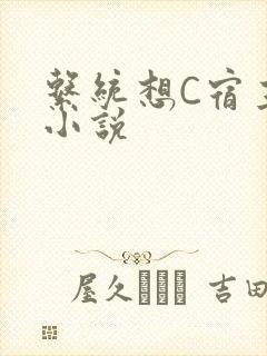 系统想C宿主的小说封面
