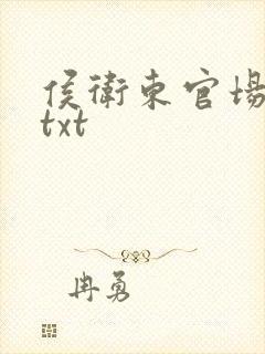 侯卫东官场笔记txt