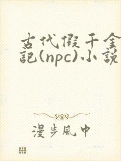 古代假千金挨日记(npc)小说