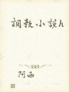 调教小说h封面
