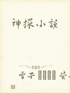 神探小说