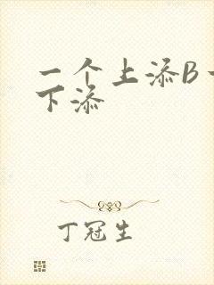 一个上添B一个下添