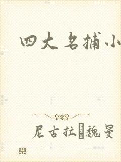 四大名捕小说