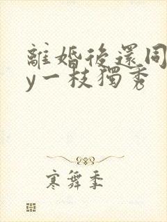 离婚后还同居by一枝独秀封面