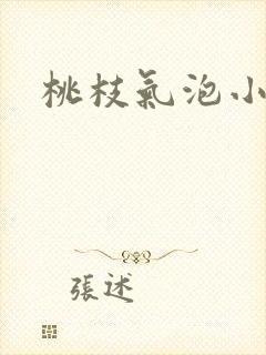桃枝气泡小说封面