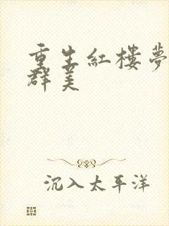 重生红楼梦之御群美