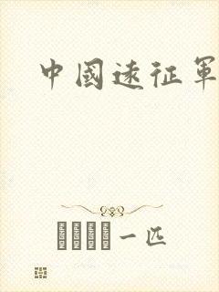 中国远征军小说
