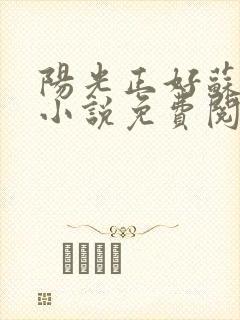 阳光正好苏玥玥小说免费阅读封面