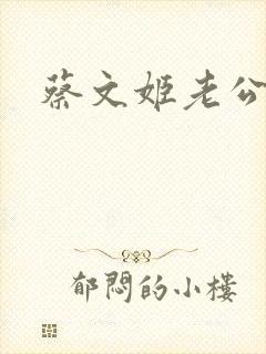 蔡文姬老公
